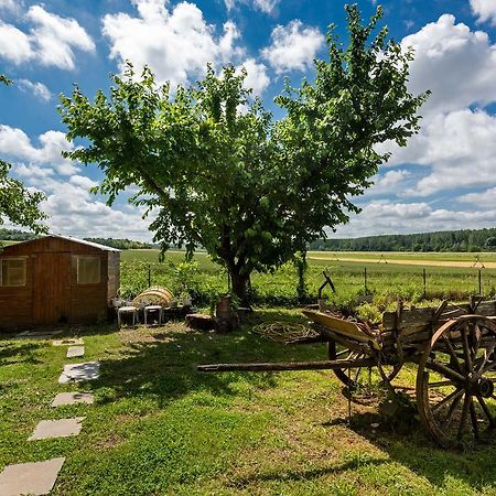 Domaine Du Bois Des Anges Acomodação com café da manhã Germigny-l'Eveque Exterior foto