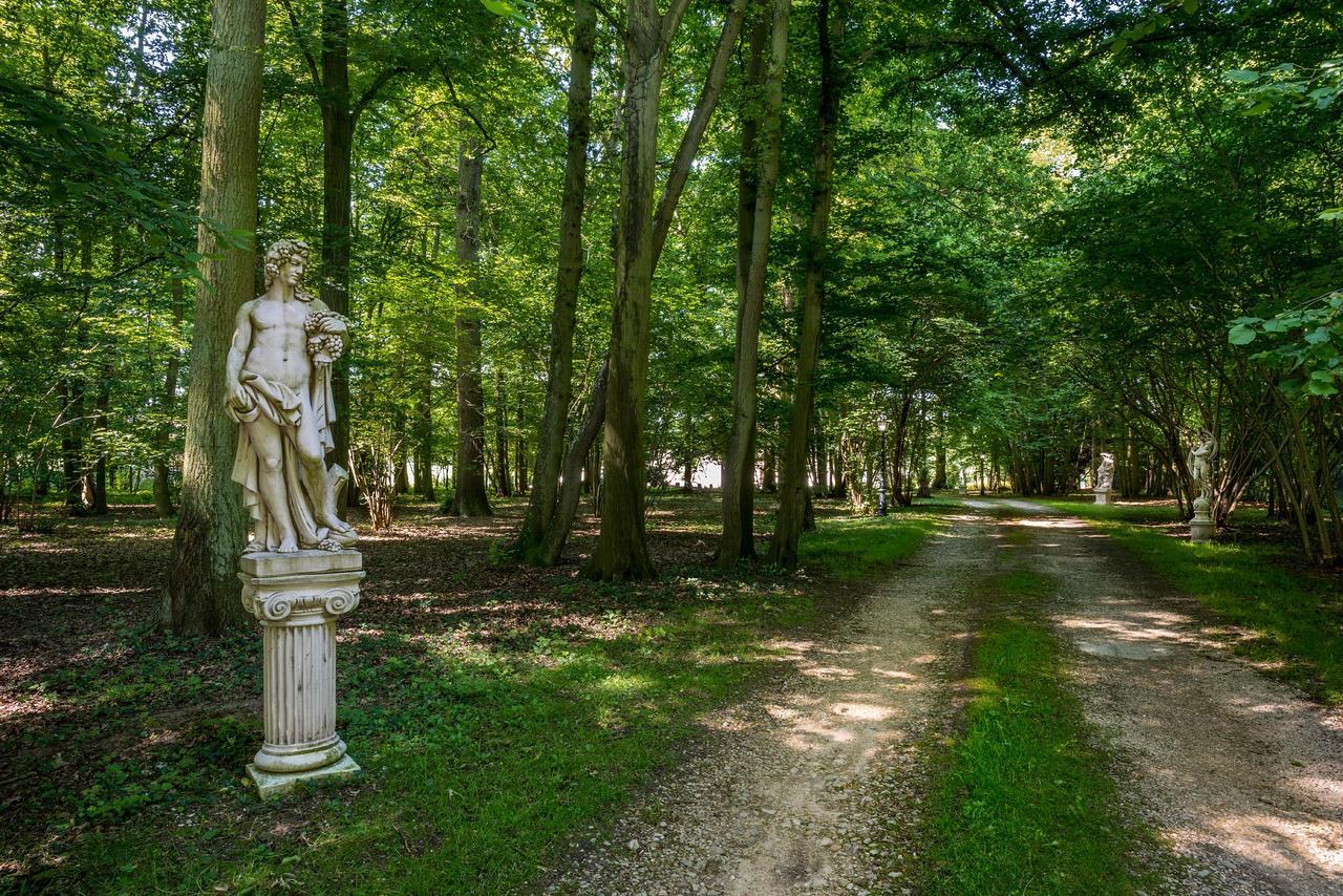 Domaine Du Bois Des Anges Acomodação com café da manhã Germigny-l'Eveque Exterior foto