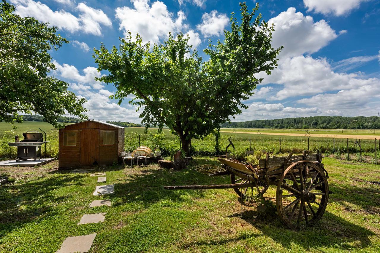 Domaine Du Bois Des Anges Acomodação com café da manhã Germigny-l'Eveque Exterior foto